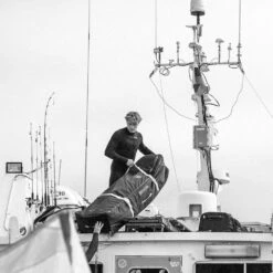 BOARDBAG MANERA 747 WHEELS / LIGHT 2022 -Équipement D'Eau 747 2 17 09 2019 11 27 41