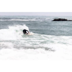 SURF LIB TECH PICKUP STICK